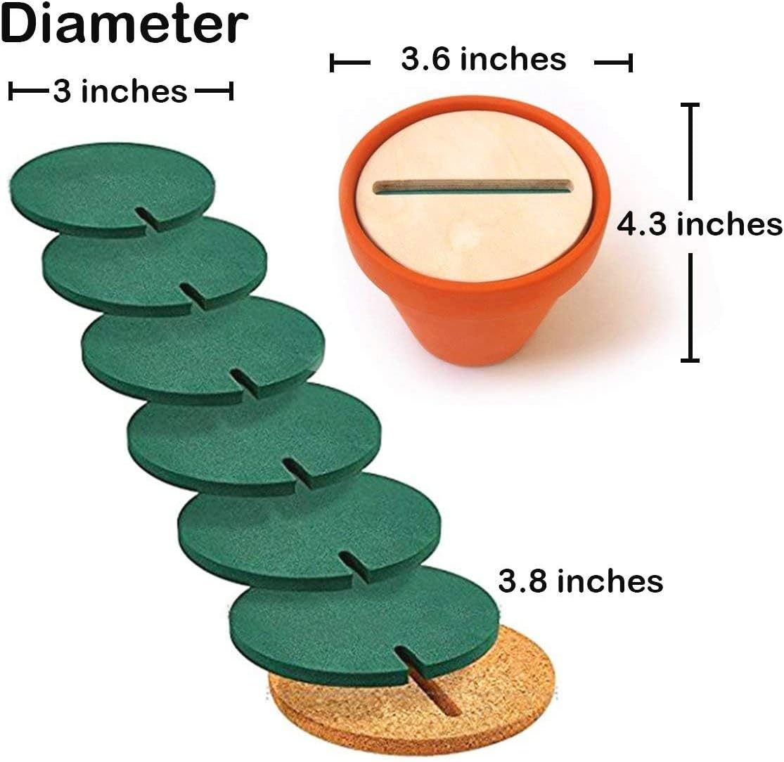 Coasters DIY Cactus Coaster Set of 6 Pieces with Flowerpot Holder for Drinks Novelty Gift for Home Office Bar Decor and Improvement, Sirensky Brand