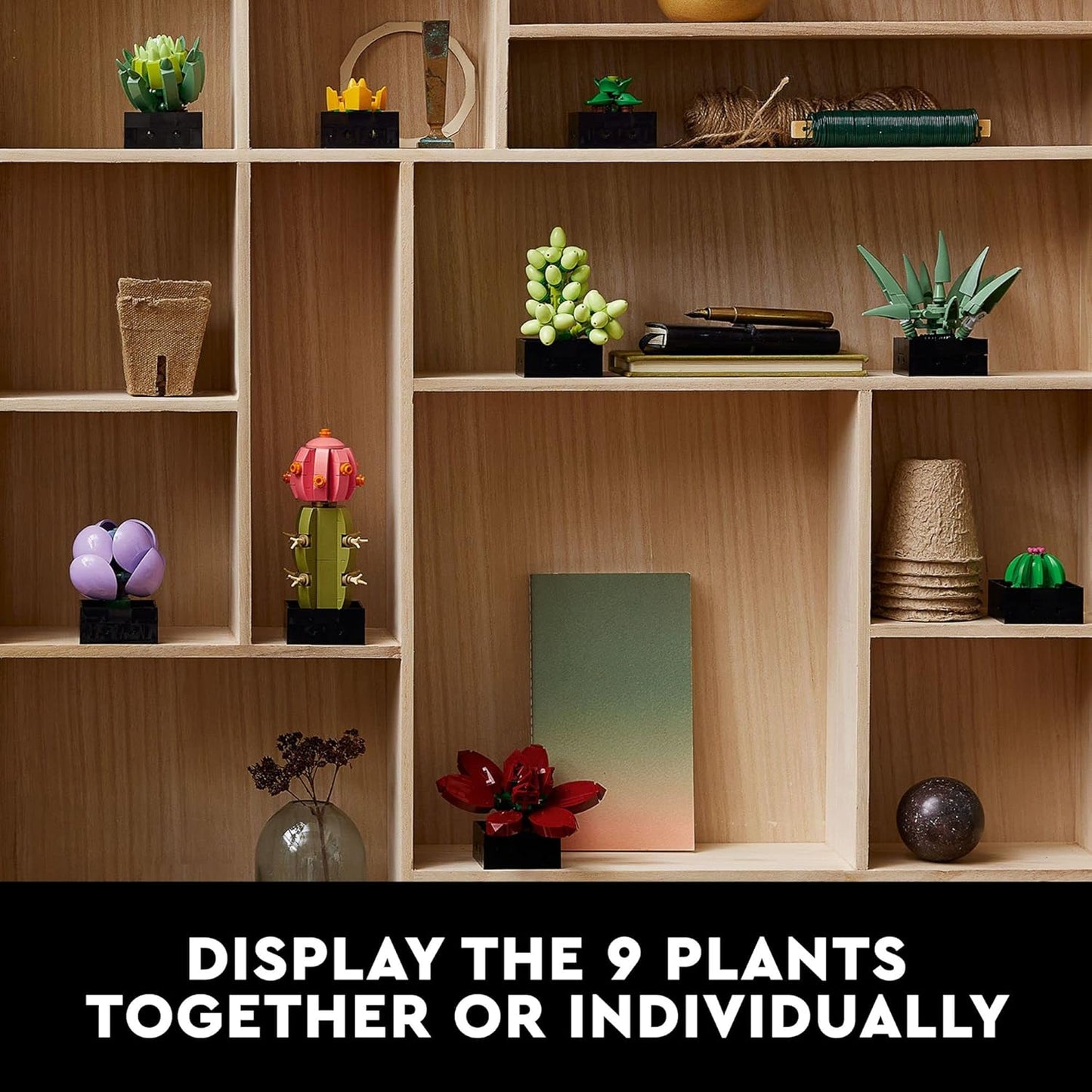 LEGO Botanicals Succulents - Artificial Indoor Plant Building Set for Home, Kitchen, Desk Decor Adults Ages 18+ - Gift for Graduation - 10309