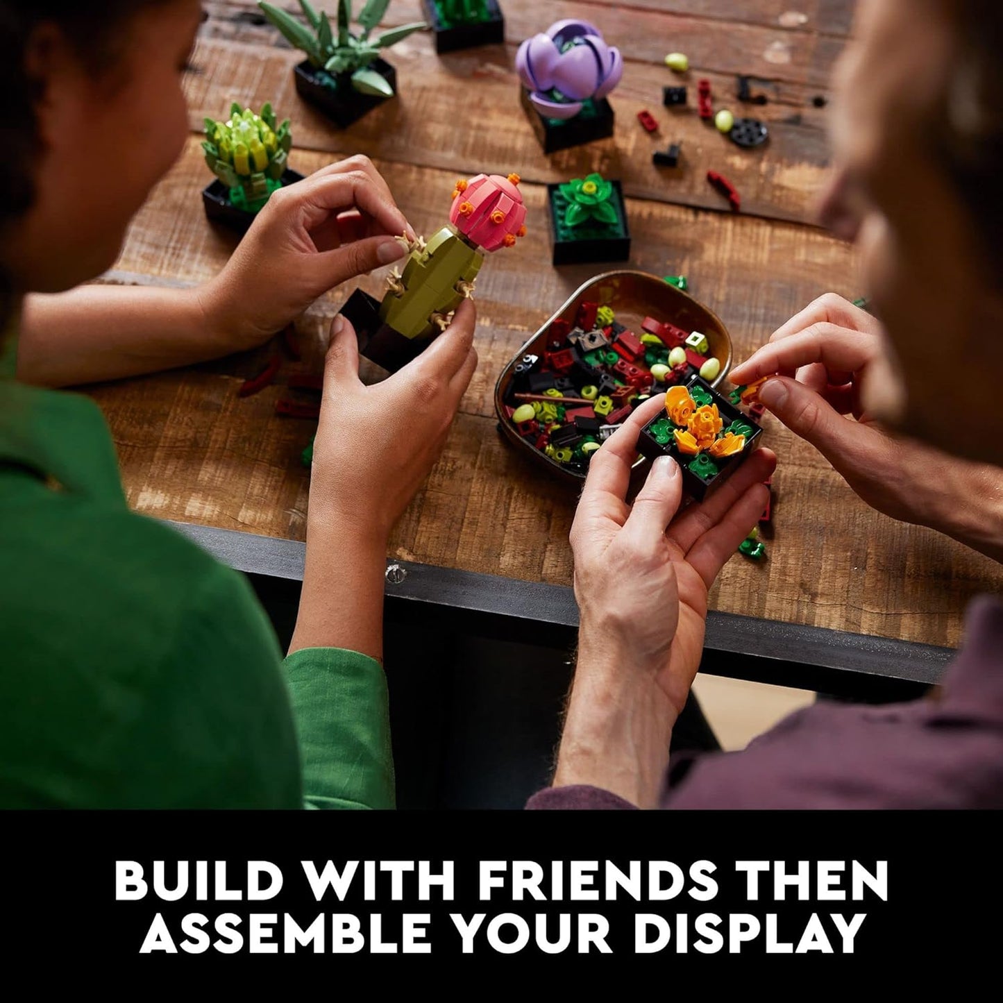 LEGO Botanicals Succulents - Artificial Indoor Plant Building Set for Home, Kitchen, Desk Decor Adults Ages 18+ - Gift for Graduation - 10309