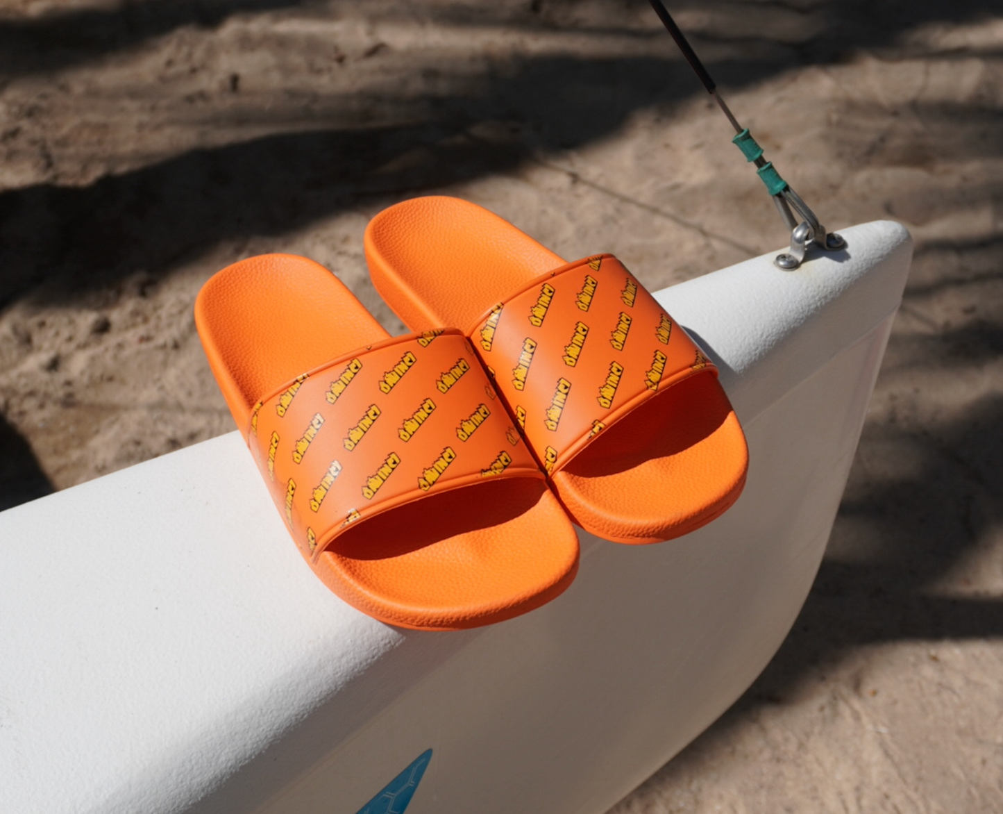 Davinci Slides