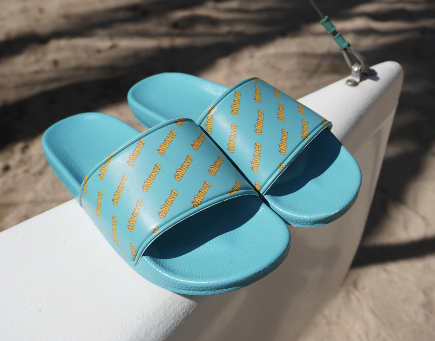 Davinci Slides