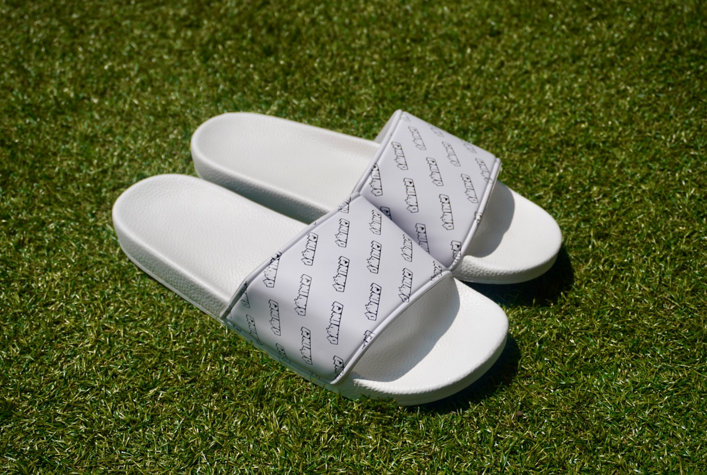 Davinci Slides
