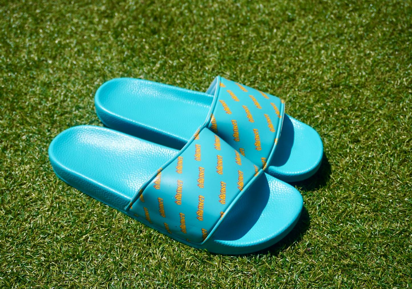 Davinci Slides