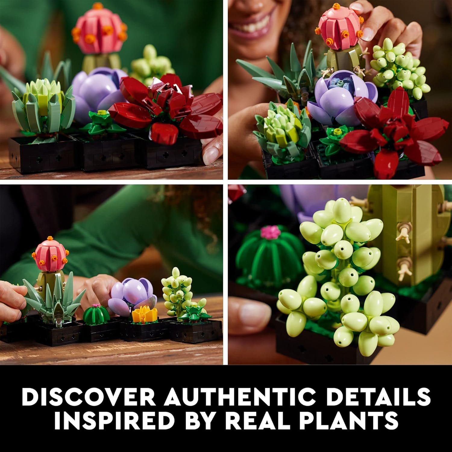 LEGO Botanicals Succulents - Artificial Indoor Plant Building Set for Home, Kitchen, Desk Decor Adults Ages 18+ - Gift for Graduation - 10309